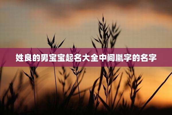 姓良的男宝宝起名大全中间胤字的名字