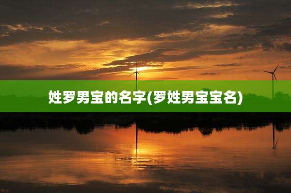姓罗男宝的名字(罗姓男宝宝名)