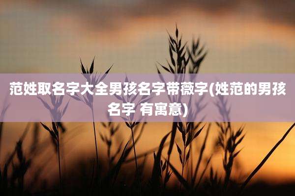 范姓取名字大全男孩名字带薇字(姓范的男孩名字 有寓意)