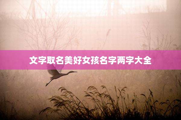 文字取名美好女孩名字两字大全