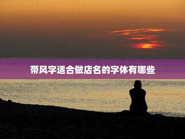 带风字适合做店名的字体有哪些