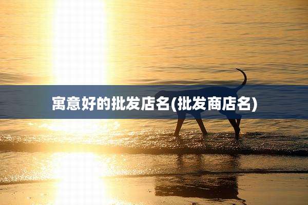 寓意好的批发店名(批发商店名)