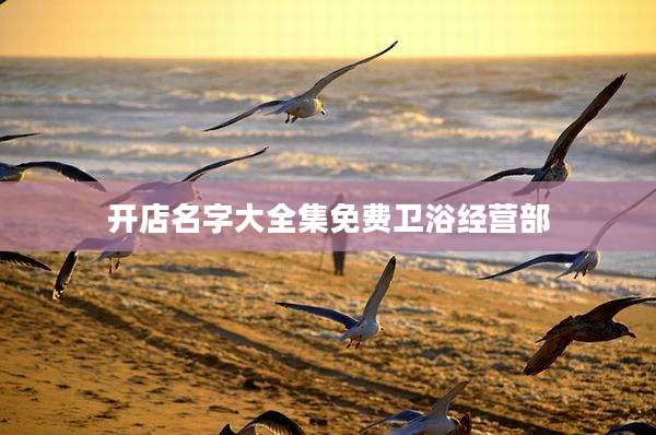 开店名字大全集免费卫浴经营部