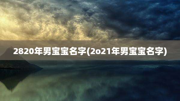 2820年男宝宝名字(2o21年男宝宝名字)