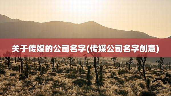 关于传媒的公司名字(传媒公司名字创意)