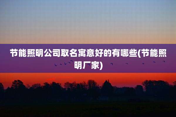 节能照明公司取名寓意好的有哪些(节能照明厂家)