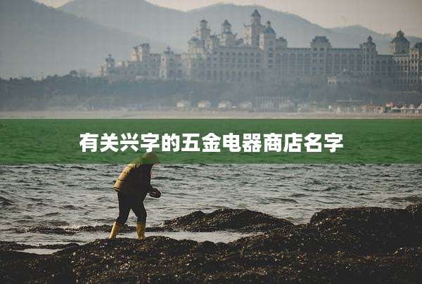 有关兴字的五金电器商店名字