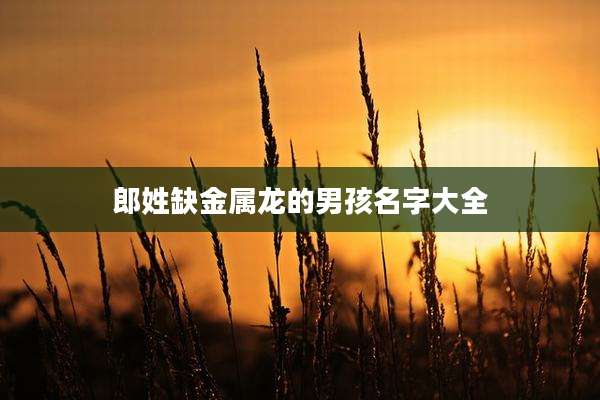 郎姓缺金属龙的男孩名字大全