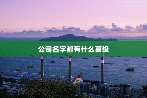 公司名字都有什么高级