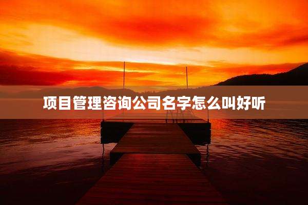 项目管理咨询公司名字怎么叫好听