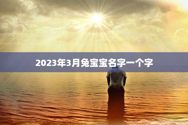 2023年3月兔宝宝名字一个字