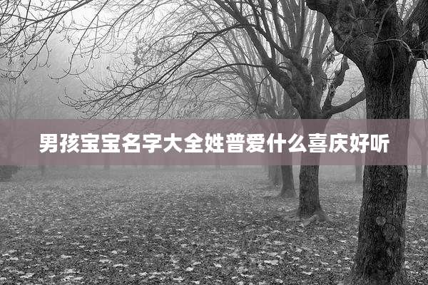 男孩宝宝名字大全姓普爱什么喜庆好听