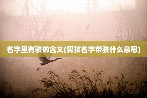 名字里有骏的含义(男孩名字带骏什么意思)
