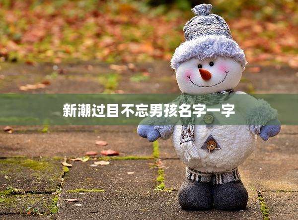 新潮过目不忘男孩名字一字