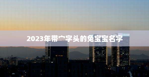 2023年带宀字头的兔宝宝名字