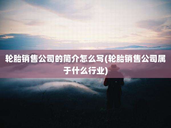 轮胎销售公司的简介怎么写(轮胎销售公司属于什么行业)