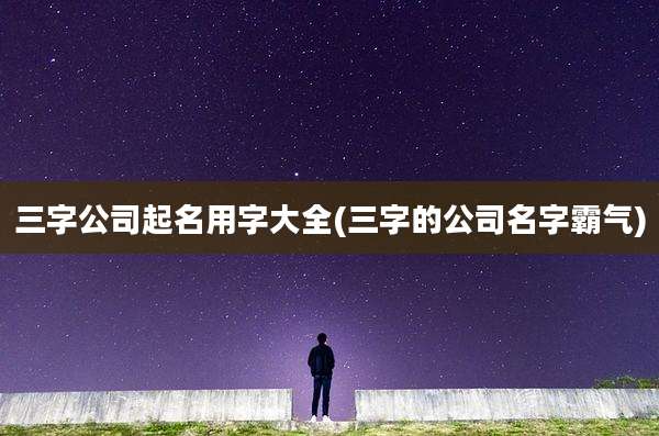 三字公司起名用字大全(三字的公司名字霸气)
