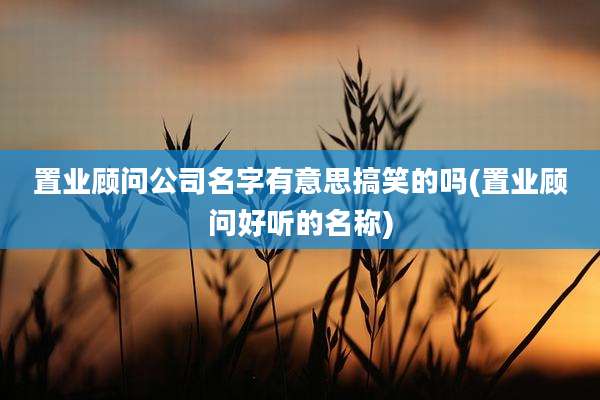 置业顾问公司名字有意思搞笑的吗(置业顾问好听的名称)