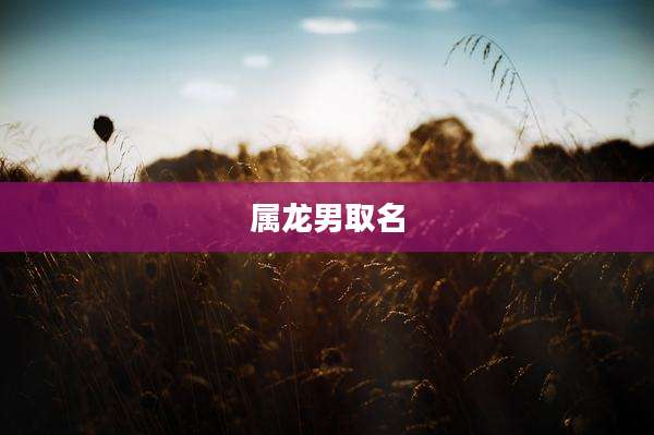 属龙男取名