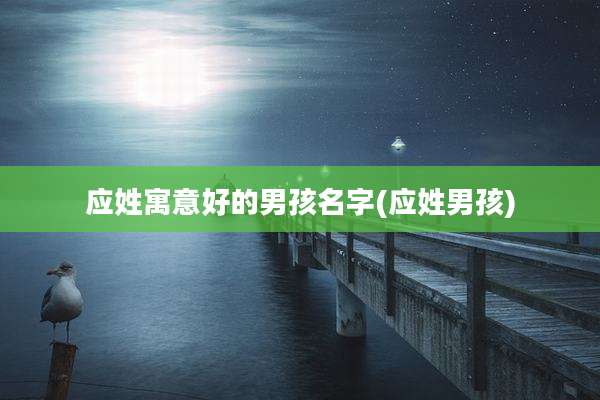应姓寓意好的男孩名字(应姓男孩)
