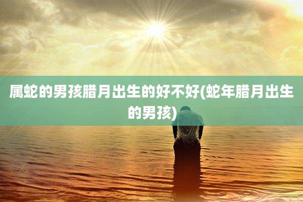 属蛇的男孩腊月出生的好不好(蛇年腊月出生的男孩)