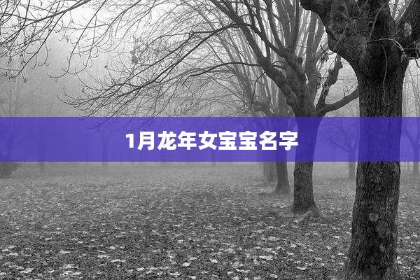 1月龙年女宝宝名字
