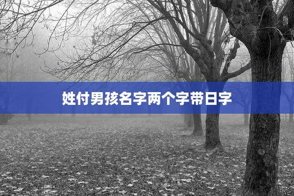 姓付男孩名字两个字带日字