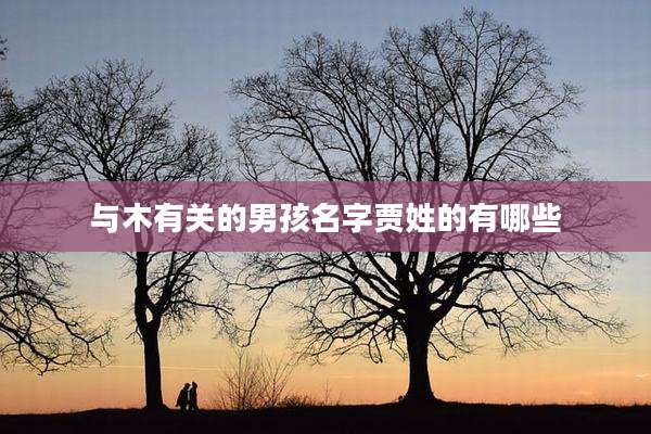 与木有关的男孩名字贾姓的有哪些