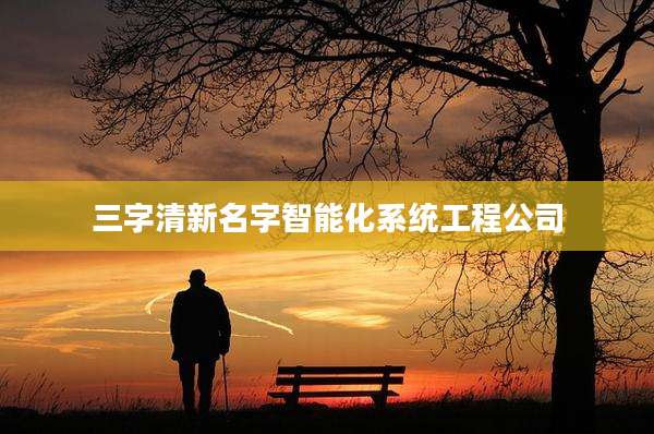 三字清新名字智能化系统工程公司