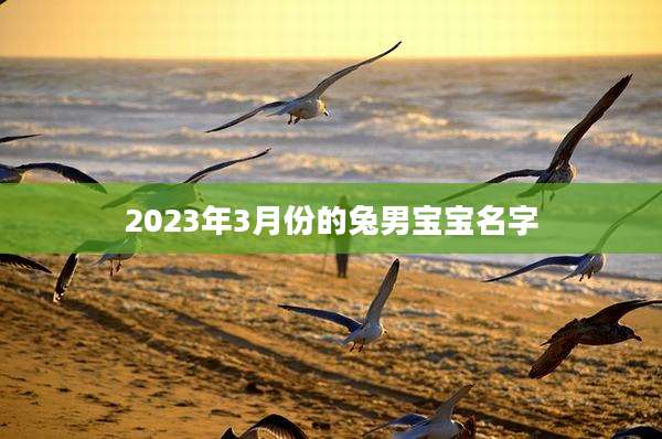 2023年3月份的兔男宝宝名字