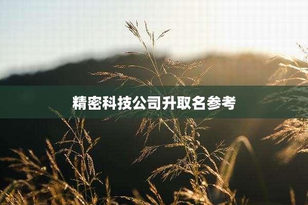 精密科技公司升取名参考