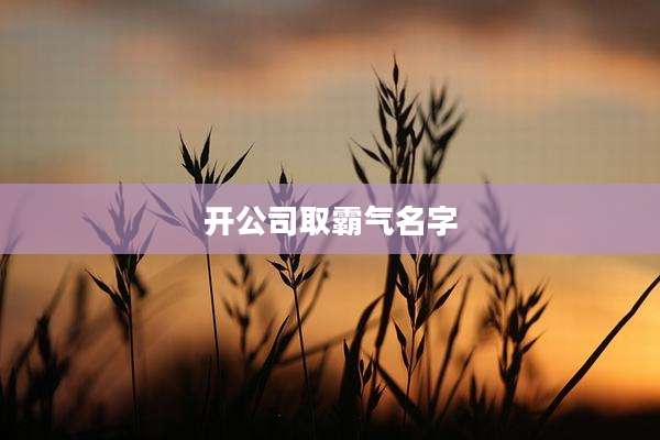 开公司取霸气名字