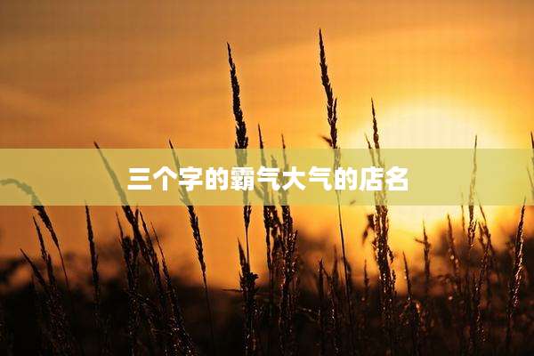 三个字的霸气大气的店名