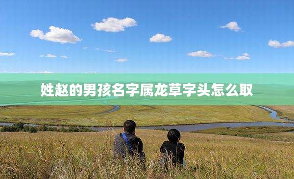 姓赵的男孩名字属龙草字头怎么取