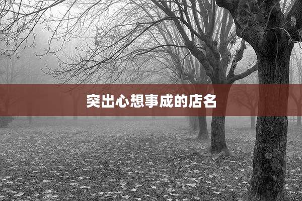 突出心想事成的店名