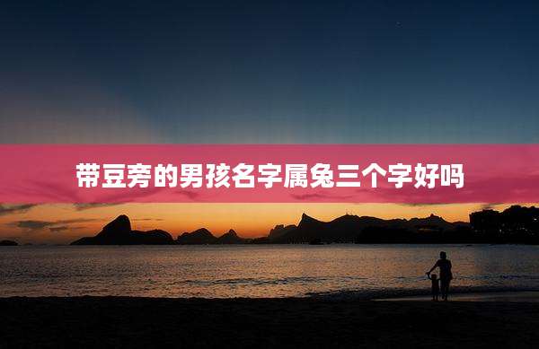 带豆旁的男孩名字属兔三个字好吗