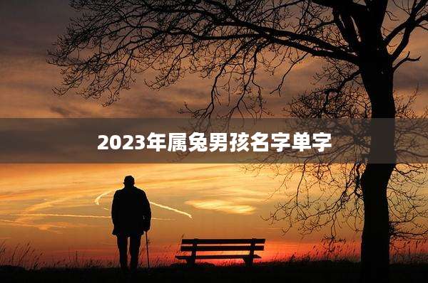 2023年属兔男孩名字单字