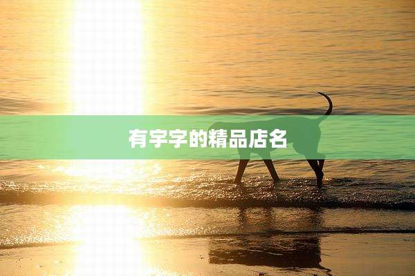 有宇字的精品店名