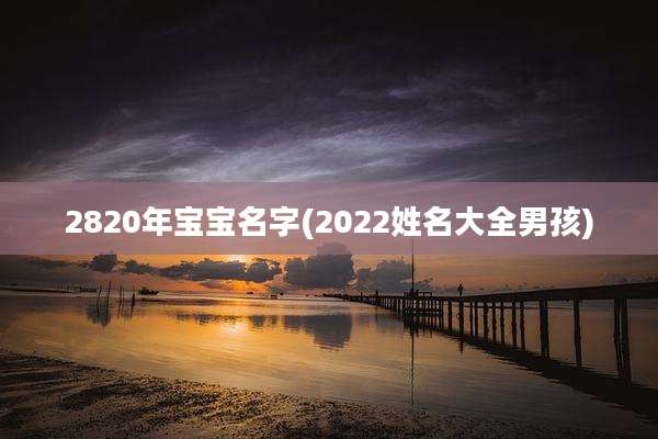 2820年宝宝名字(2022姓名大全男孩)
