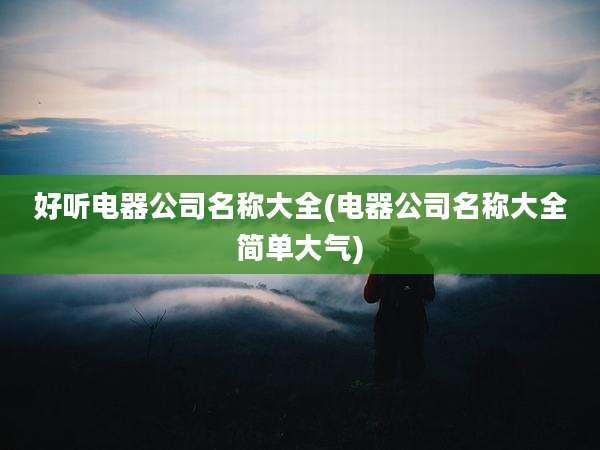 好听电器公司名称大全(电器公司名称大全简单大气)
