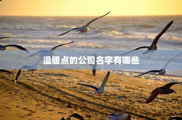 温暖点的公司名字有哪些