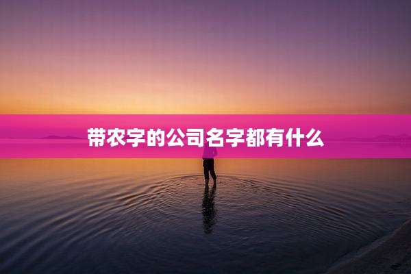 带农字的公司名字都有什么