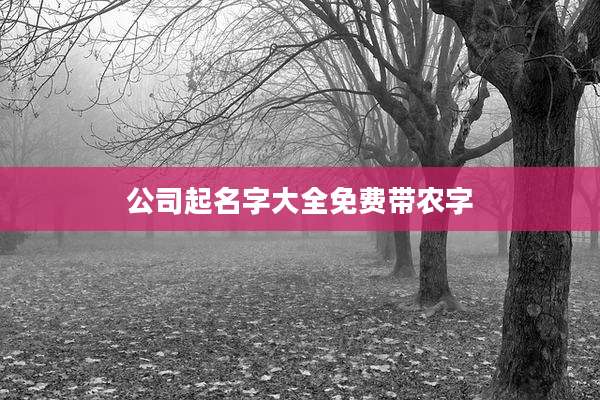 公司起名字大全免费带农字