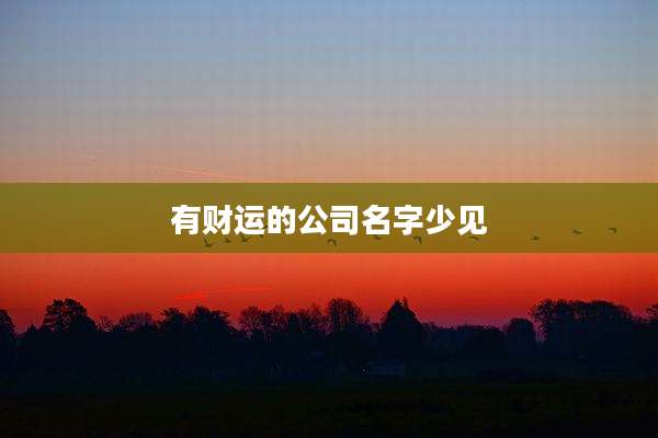 有财运的公司名字少见