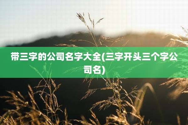 带三字的公司名字大全(三字开头三个字公司名)