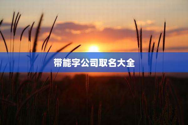 带能字公司取名大全