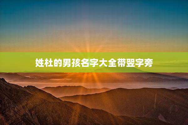 姓杜的男孩名字大全带翌字旁