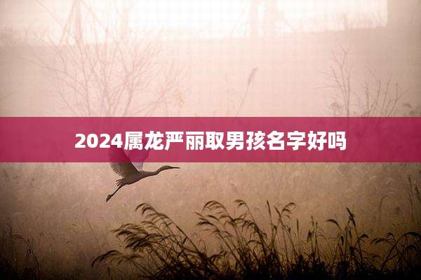 2024属龙严丽取男孩名字好吗