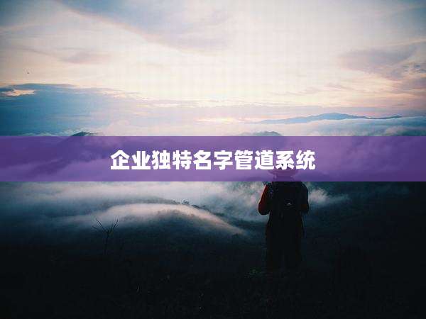 企业独特名字管道系统