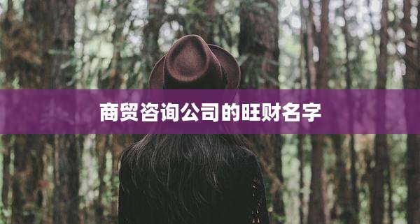 商贸咨询公司的旺财名字